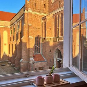 Appartement met een Slaapkamer